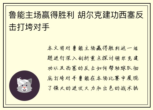鲁能主场赢得胜利 胡尔克建功西塞反击打垮对手